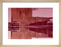 Pigeon fancier's car, Lower West Side, New York. c. 1963 art print small natural Art Print - Science Museum Shop