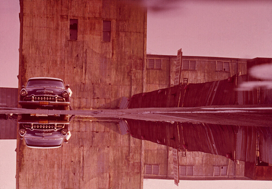 Pigeon fancier's car, Lower West Side, New York. c. 1963 Art Print - Science Museum Shop