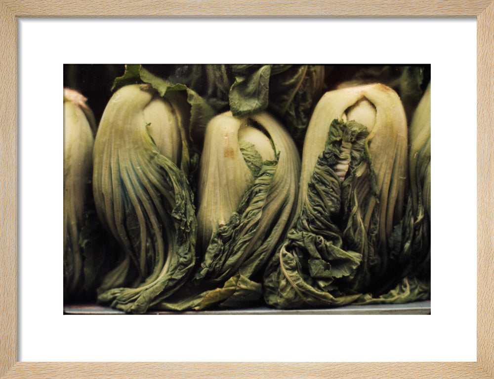 Still life of vegetables art print small natural Art Print - Science Museum Shop