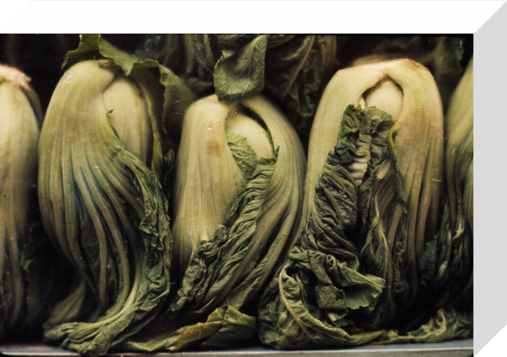 Still life of vegetables stretched canvas small none Art Print - Science Museum Shop