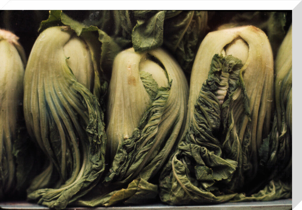 Still life of vegetables stretched canvas large none Art Print - Science Museum Shop