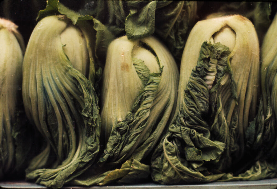 Still life of vegetables Art Print - Science Museum Shop