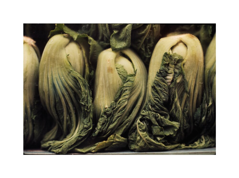 Still life of vegetables art print extra large none Art Print - Science Museum Shop