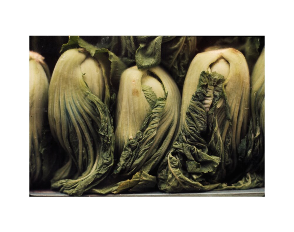 Still life of vegetables art print extra small none Art Print - Science Museum Shop