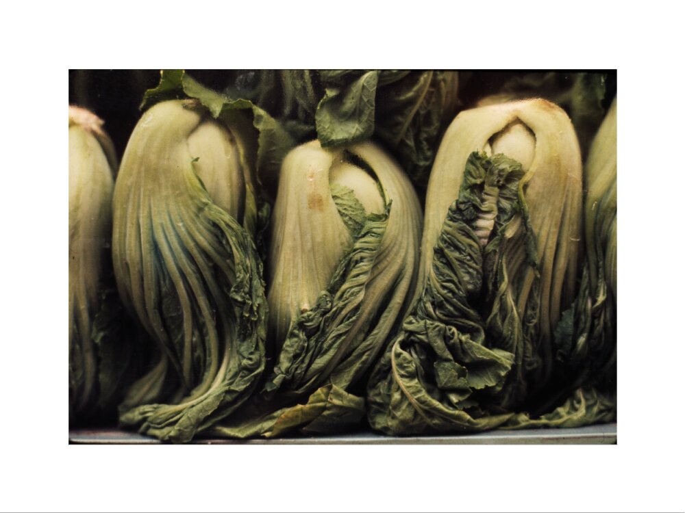 Still life of vegetables art print small none Art Print - Science Museum Shop