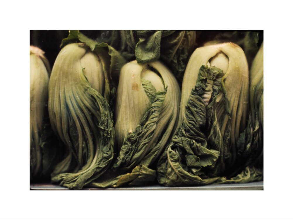 Still life of vegetables art print medium none Art Print - Science Museum Shop