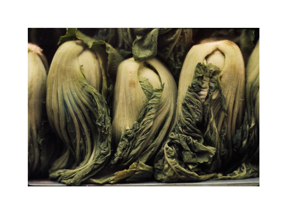 Still life of vegetables unstretched canvas medium none Art Print - Science Museum Shop