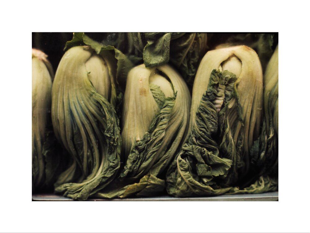 Still life of vegetables art print large none Art Print - Science Museum Shop