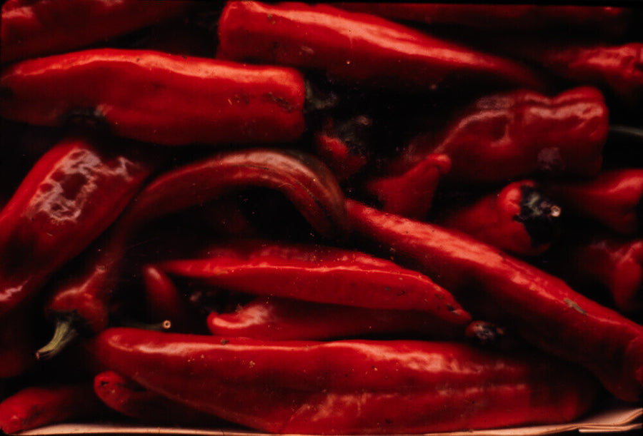 Still life of red peppers Art Print - Science Museum Shop