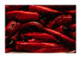 Still life of red peppers unstretched canvas extra large none Art Print - Science Museum Shop