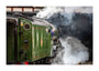 The iconic Flying Scotsman locomotive was crewed by an all-female team on International Women's Day, 8th March 2023. unstretched canvas extra large none Art Print - Science Museum Shop