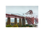 Flying Scotsman crossing the Forth Bridge on 8th October 2023. unstretched canvas small none Art Print - Science Museum Shop