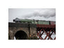 Flying Scotsman crossing the Forth Bridge on 8th October 2023. unstretched canvas small none Art Print - Science Museum Shop