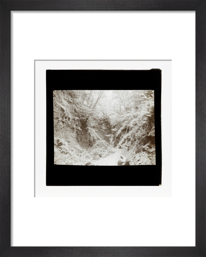 A magic lantern slide of woodland by Birt Acres, c. 1893. art print extra small black Art Print - Science Museum Shop