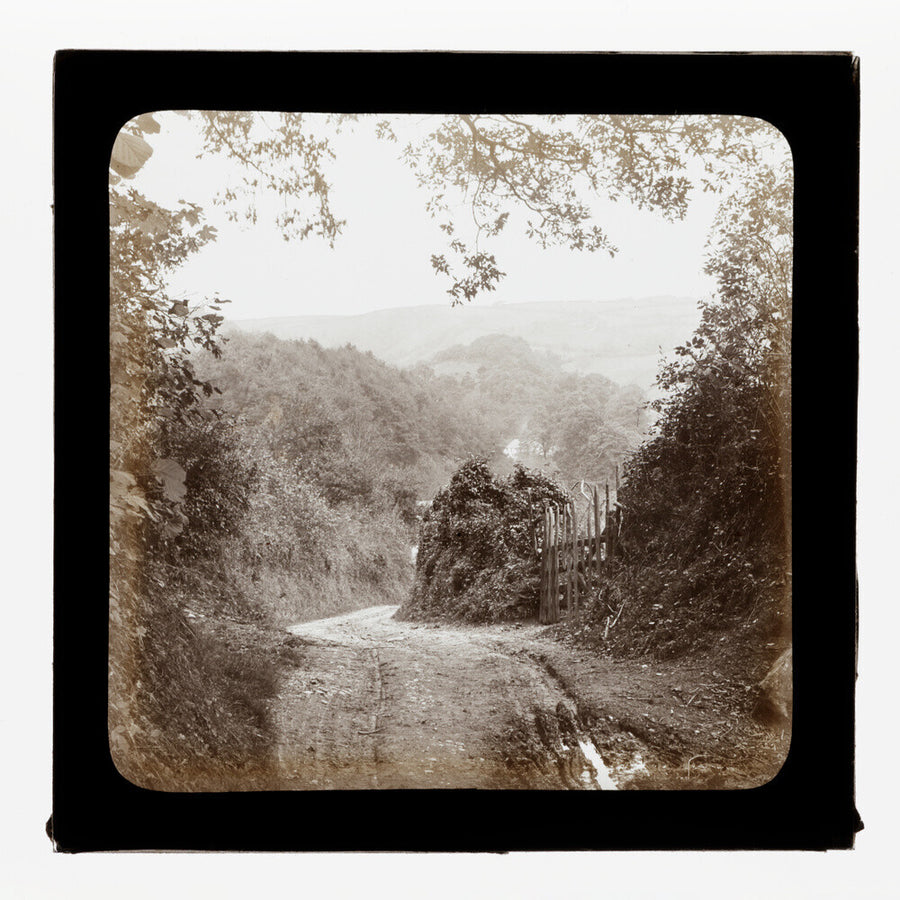 A magic lantern slide entilted 'Chambercombe Wood', by Birt Acres, c. 1893. Black carbon for projection. Art Print - Science Museum Shop