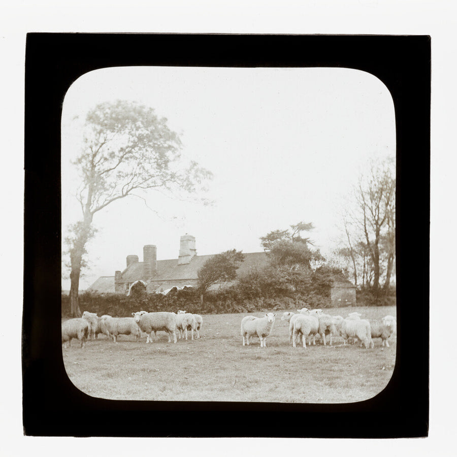 A magic lantern slide entitled 'An Old Homestead' by Birt Acres, c. 1893. Art Print - Science Museum Shop