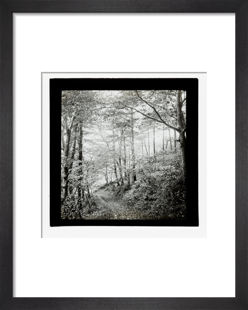 A magic lantern slide of Score Wood, Ilfracombe by Birt Acres, c. 1893. art print extra small black Art Print - Science Museum Shop