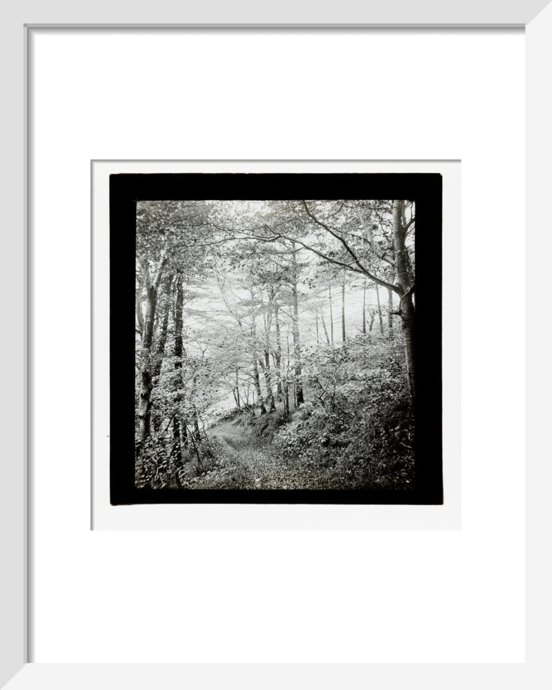 A magic lantern slide of Score Wood, Ilfracombe by Birt Acres, c. 1893. art print extra small white Art Print - Science Museum Shop