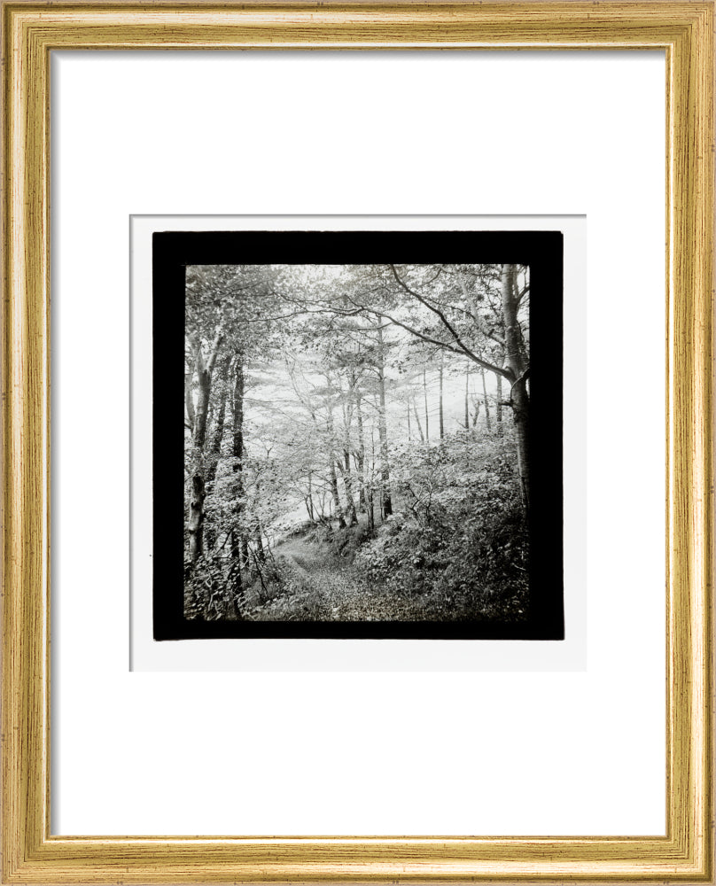 A magic lantern slide of Score Wood, Ilfracombe by Birt Acres, c. 1893. art print extra small gold Art Print - Science Museum Shop