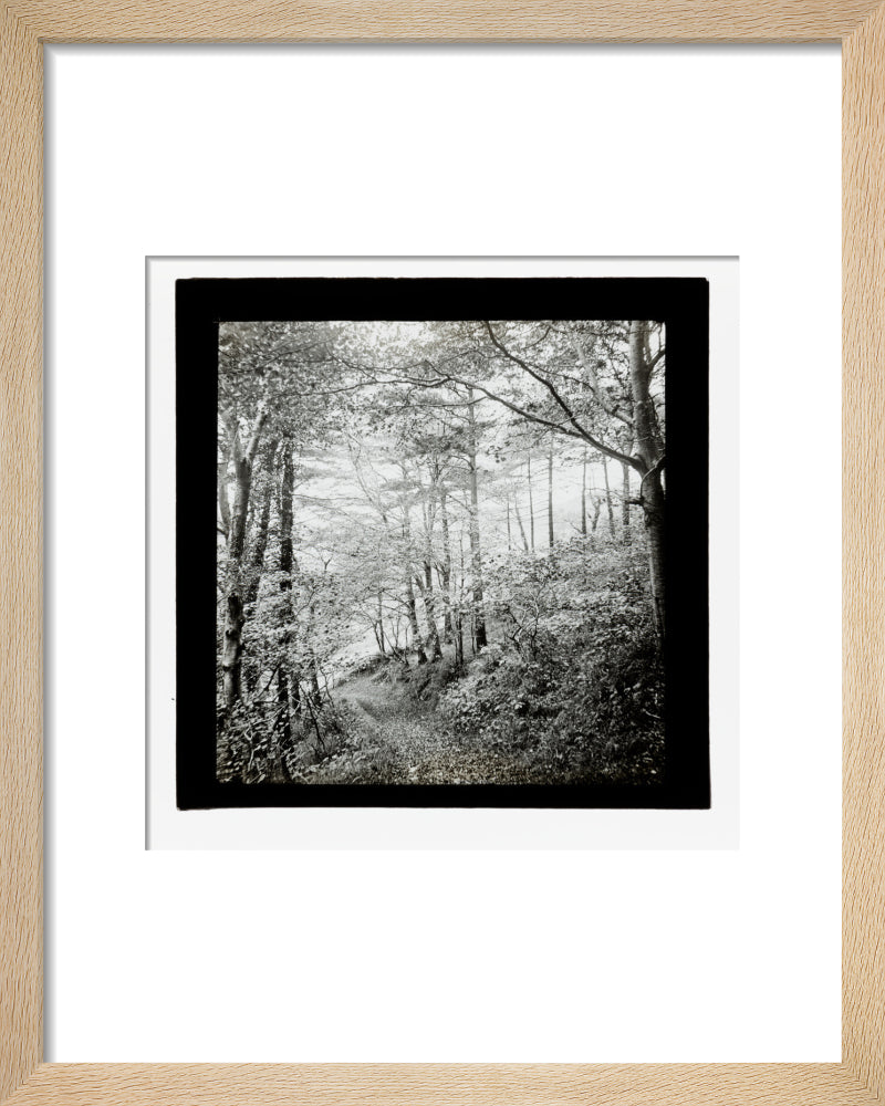 A magic lantern slide of Score Wood, Ilfracombe by Birt Acres, c. 1893. art print extra small natural Art Print - Science Museum Shop