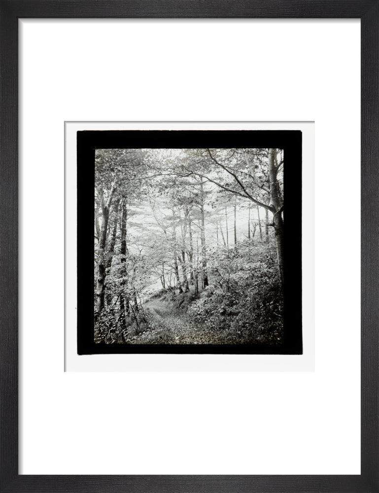 A magic lantern slide of Score Wood, Ilfracombe by Birt Acres, c. 1893. art print small black Art Print - Science Museum Shop