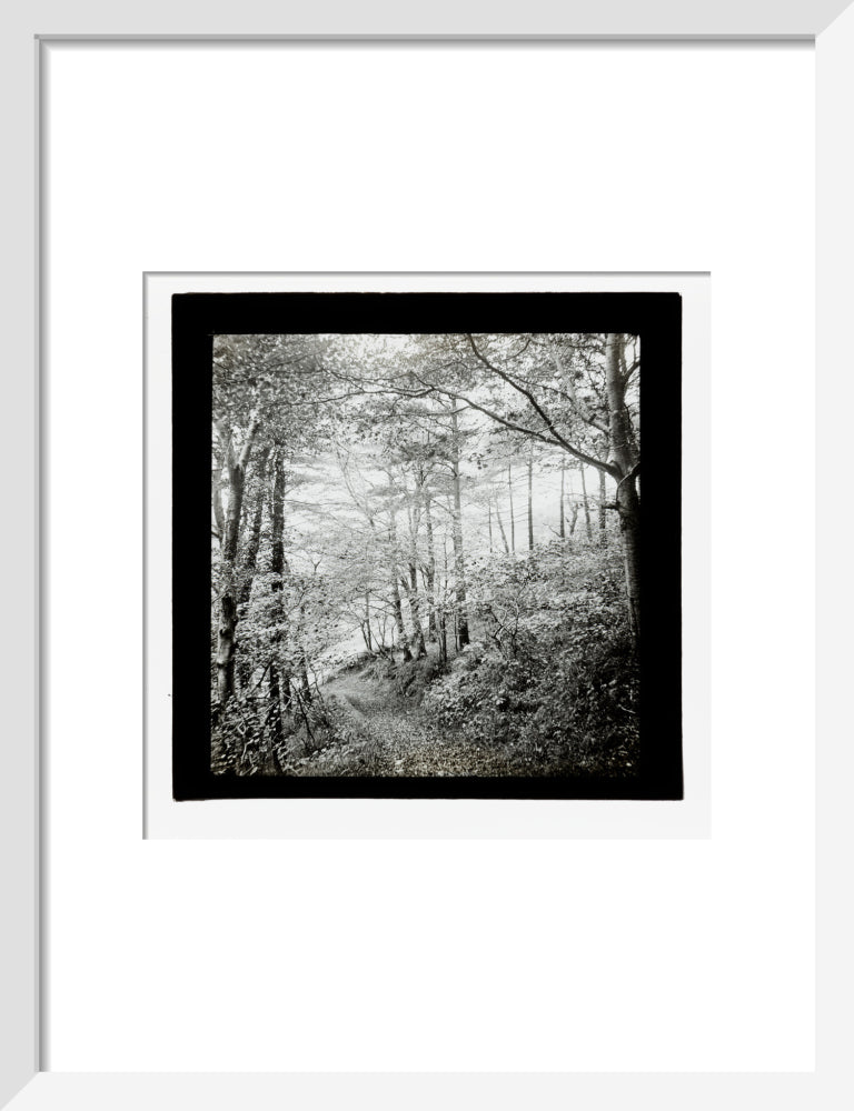 A magic lantern slide of Score Wood, Ilfracombe by Birt Acres, c. 1893. art print small white Art Print - Science Museum Shop