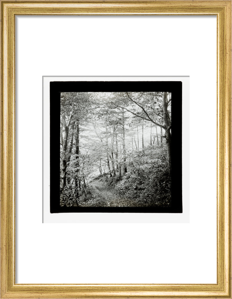 A magic lantern slide of Score Wood, Ilfracombe by Birt Acres, c. 1893. art print small gold Art Print - Science Museum Shop