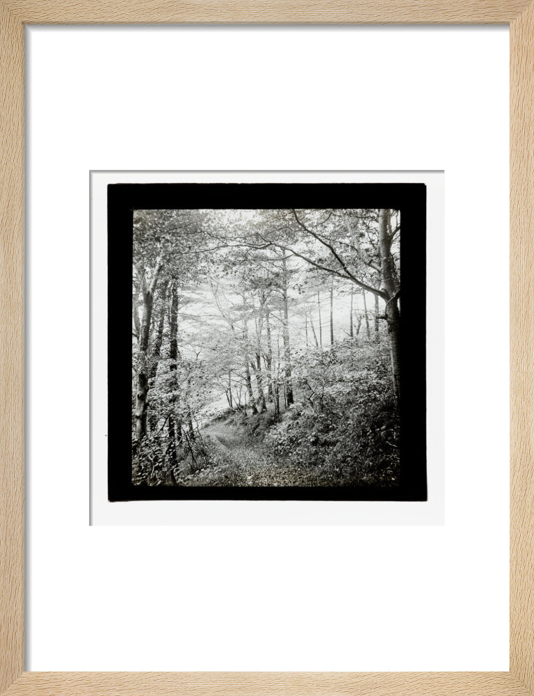 A magic lantern slide of Score Wood, Ilfracombe by Birt Acres, c. 1893. art print small natural Art Print - Science Museum Shop