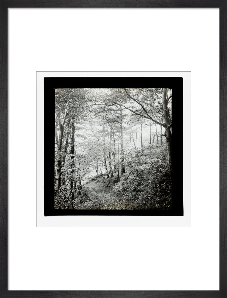 A magic lantern slide of Score Wood, Ilfracombe by Birt Acres, c. 1893. art print medium black Art Print - Science Museum Shop