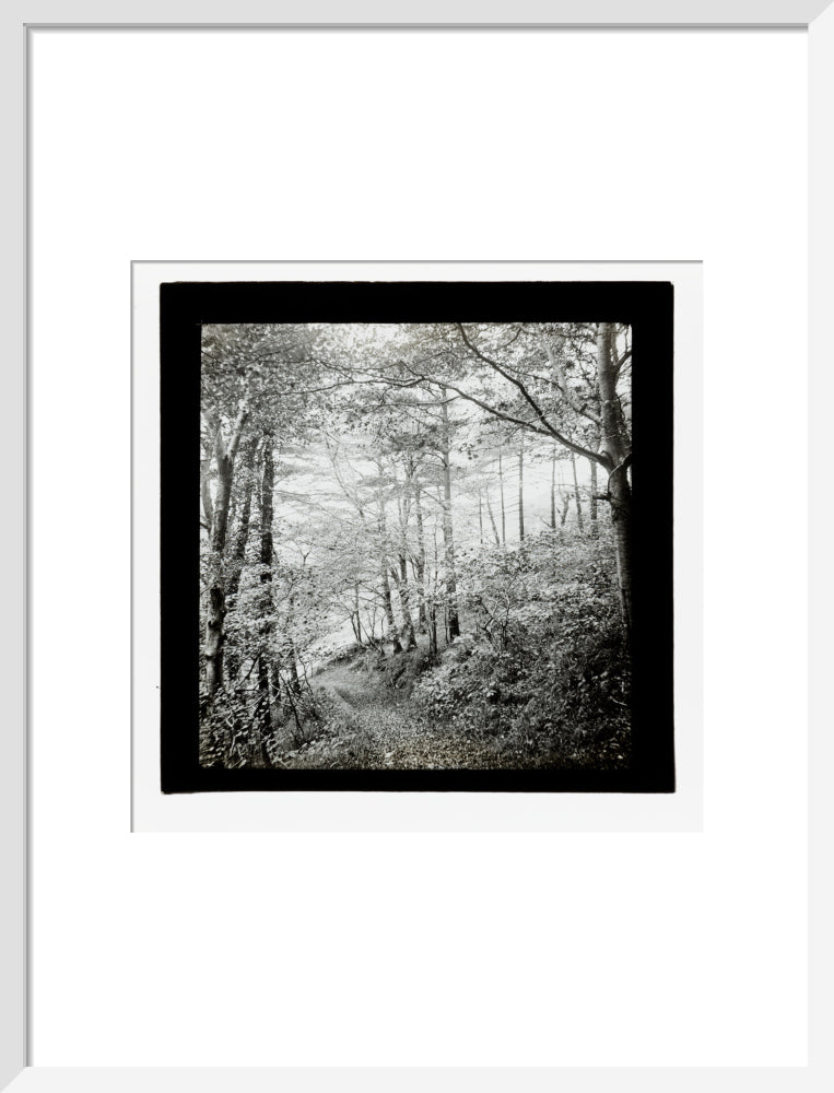 A magic lantern slide of Score Wood, Ilfracombe by Birt Acres, c. 1893. art print medium white Art Print - Science Museum Shop