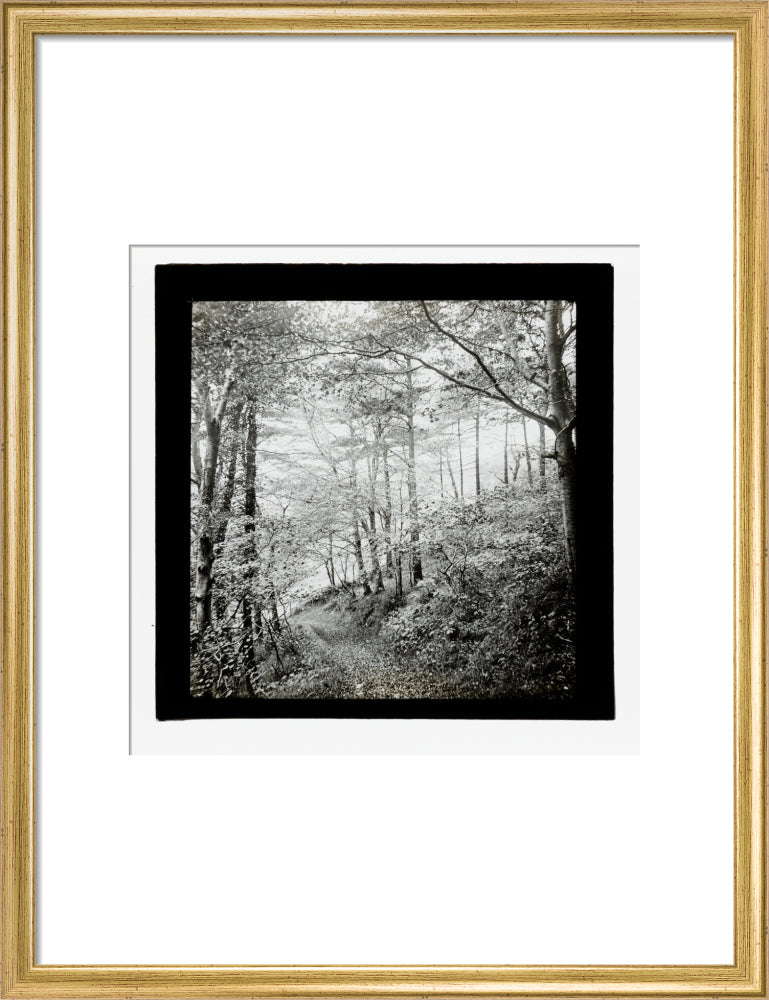 A magic lantern slide of Score Wood, Ilfracombe by Birt Acres, c. 1893. art print medium gold Art Print - Science Museum Shop