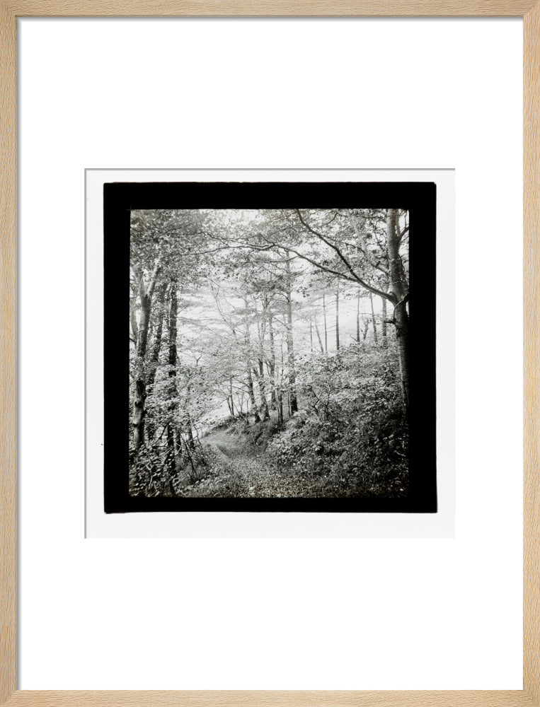 A magic lantern slide of Score Wood, Ilfracombe by Birt Acres, c. 1893. art print medium natural Art Print - Science Museum Shop