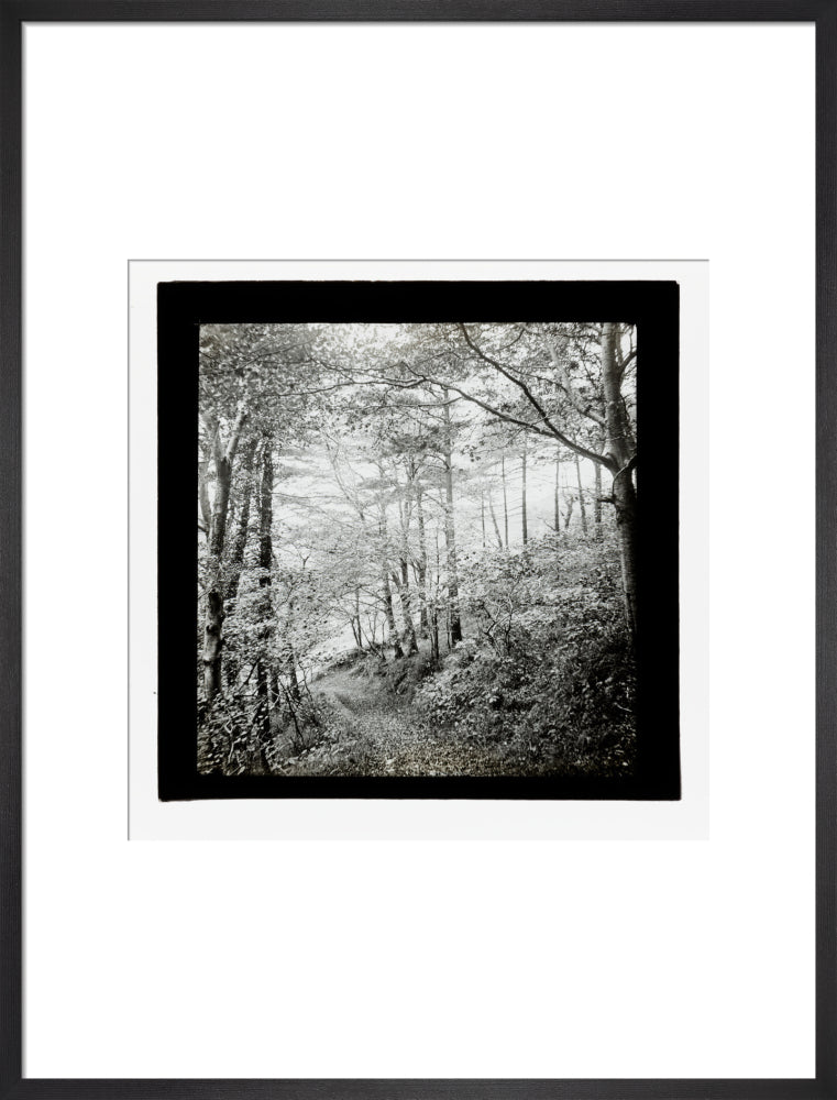 A magic lantern slide of Score Wood, Ilfracombe by Birt Acres, c. 1893. art print large black Art Print - Science Museum Shop