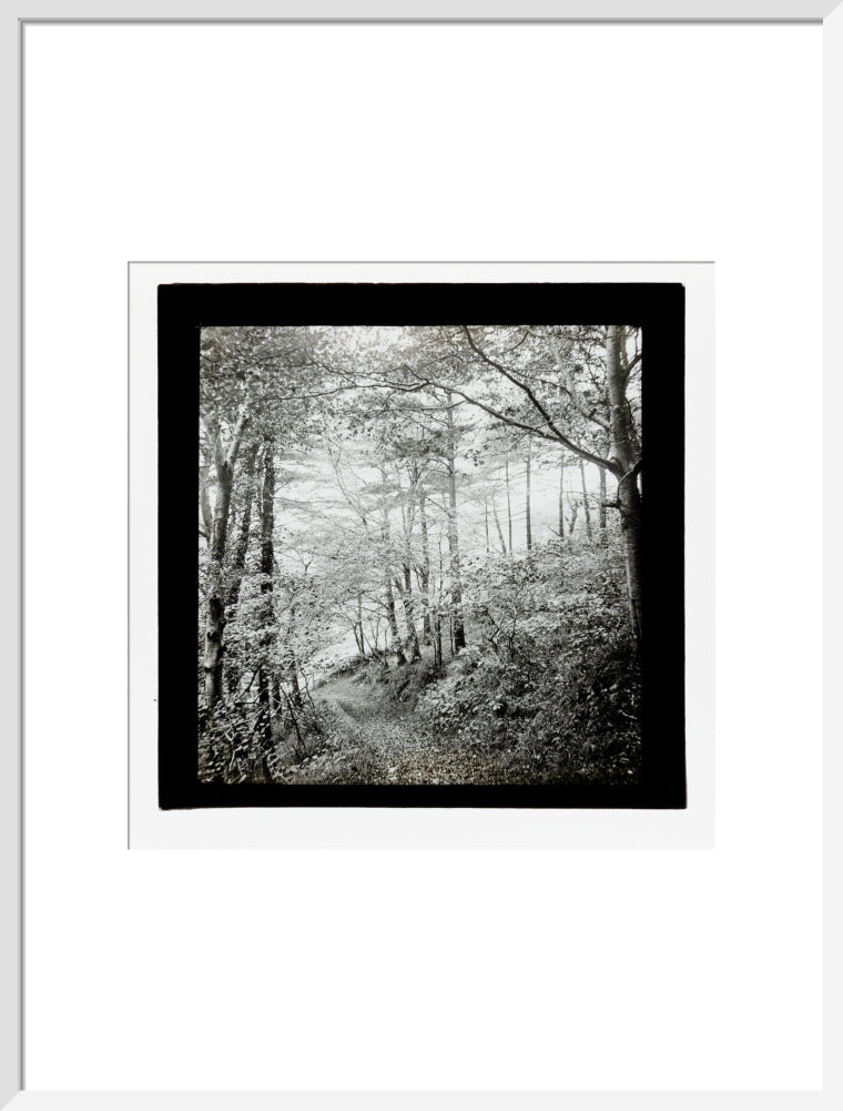 A magic lantern slide of Score Wood, Ilfracombe by Birt Acres, c. 1893. art print large white Art Print - Science Museum Shop