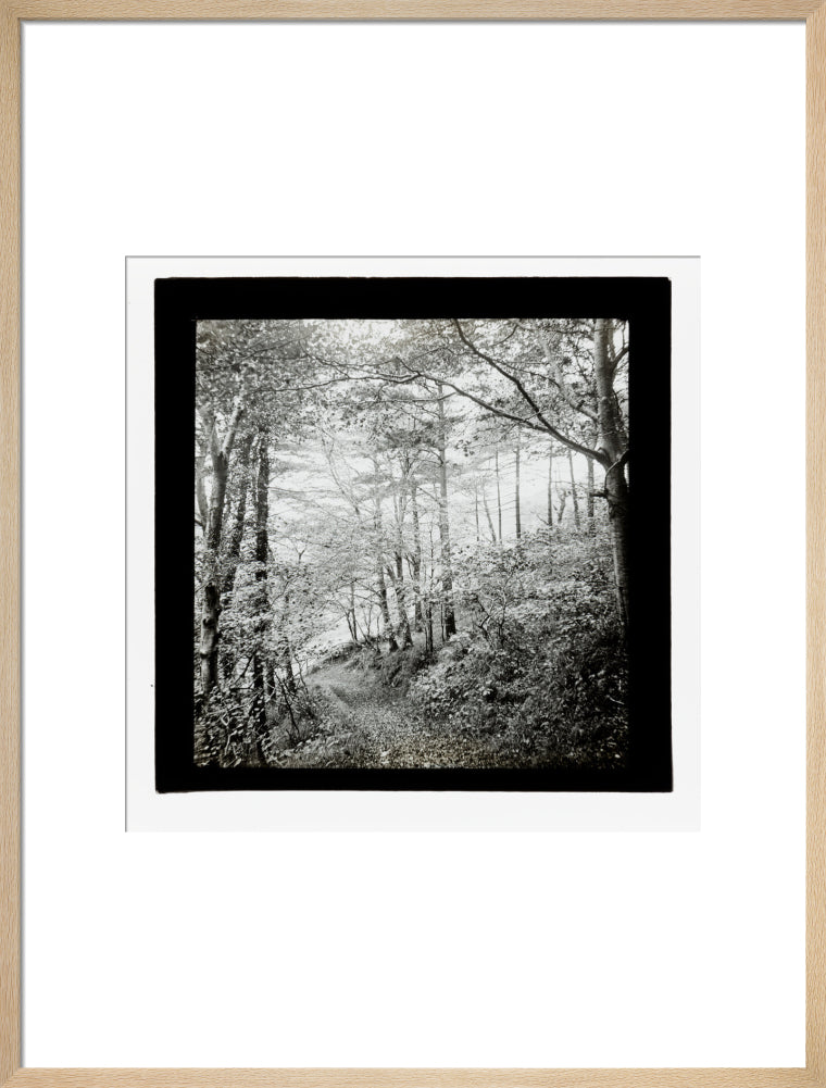 A magic lantern slide of Score Wood, Ilfracombe by Birt Acres, c. 1893. art print large natural Art Print - Science Museum Shop