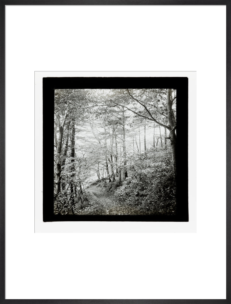 A magic lantern slide of Score Wood, Ilfracombe by Birt Acres, c. 1893. art print extra large black Art Print - Science Museum Shop