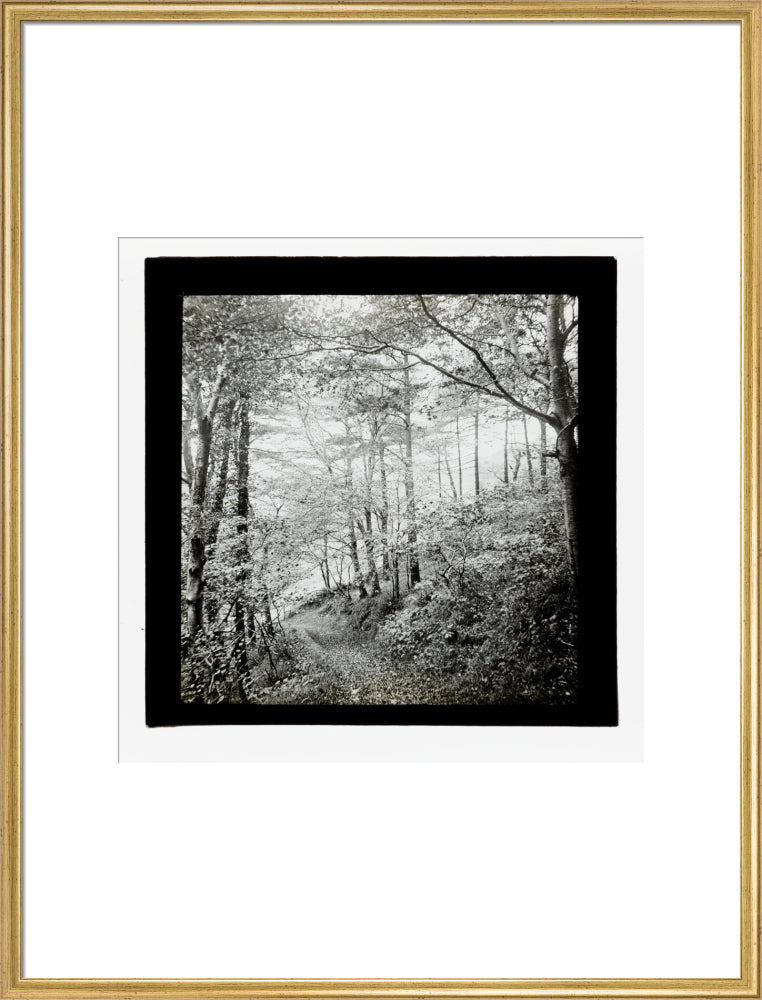 A magic lantern slide of Score Wood, Ilfracombe by Birt Acres, c. 1893. art print extra large gold Art Print - Science Museum Shop