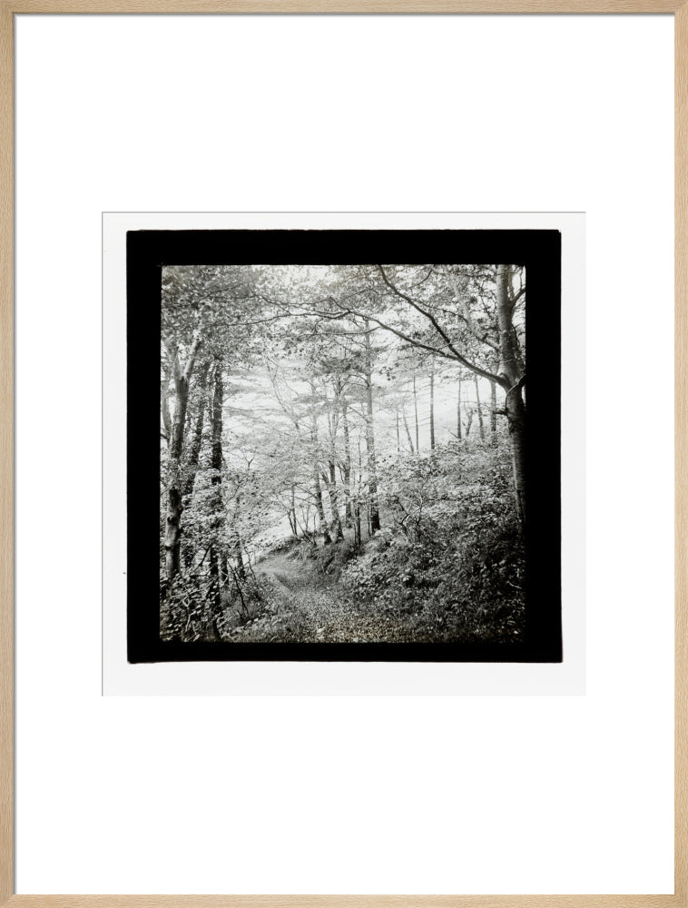 A magic lantern slide of Score Wood, Ilfracombe by Birt Acres, c. 1893. art print extra large natural Art Print - Science Museum Shop