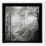A magic lantern slide of Score Wood, Ilfracombe by Birt Acres, c. 1893. stretched canvas large none Art Print - Science Museum Shop