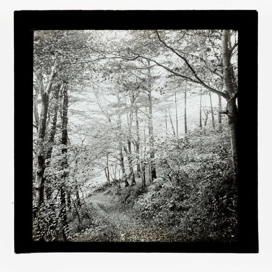 A magic lantern slide of Score Wood, Ilfracombe by Birt Acres, c. 1893. Art Print - Science Museum Shop