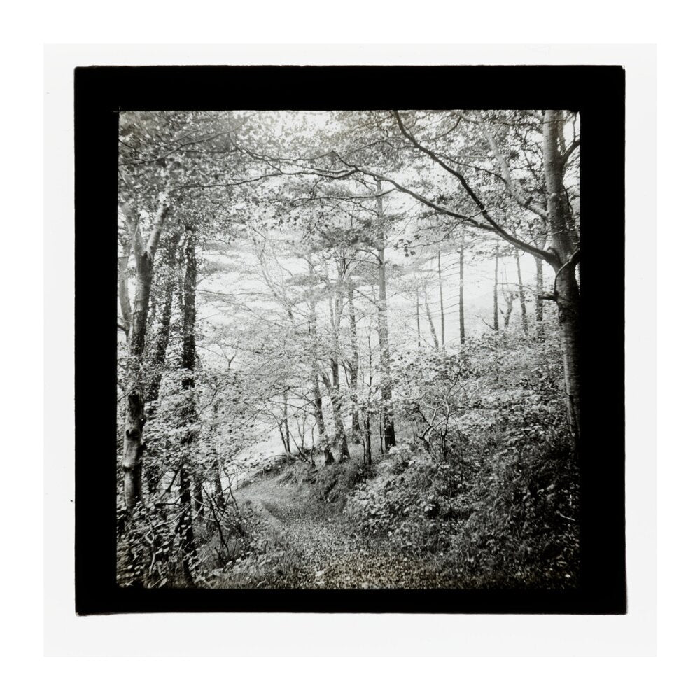 A magic lantern slide of Score Wood, Ilfracombe by Birt Acres, c. 1893. unstretched canvas extra large none Art Print - Science Museum Shop