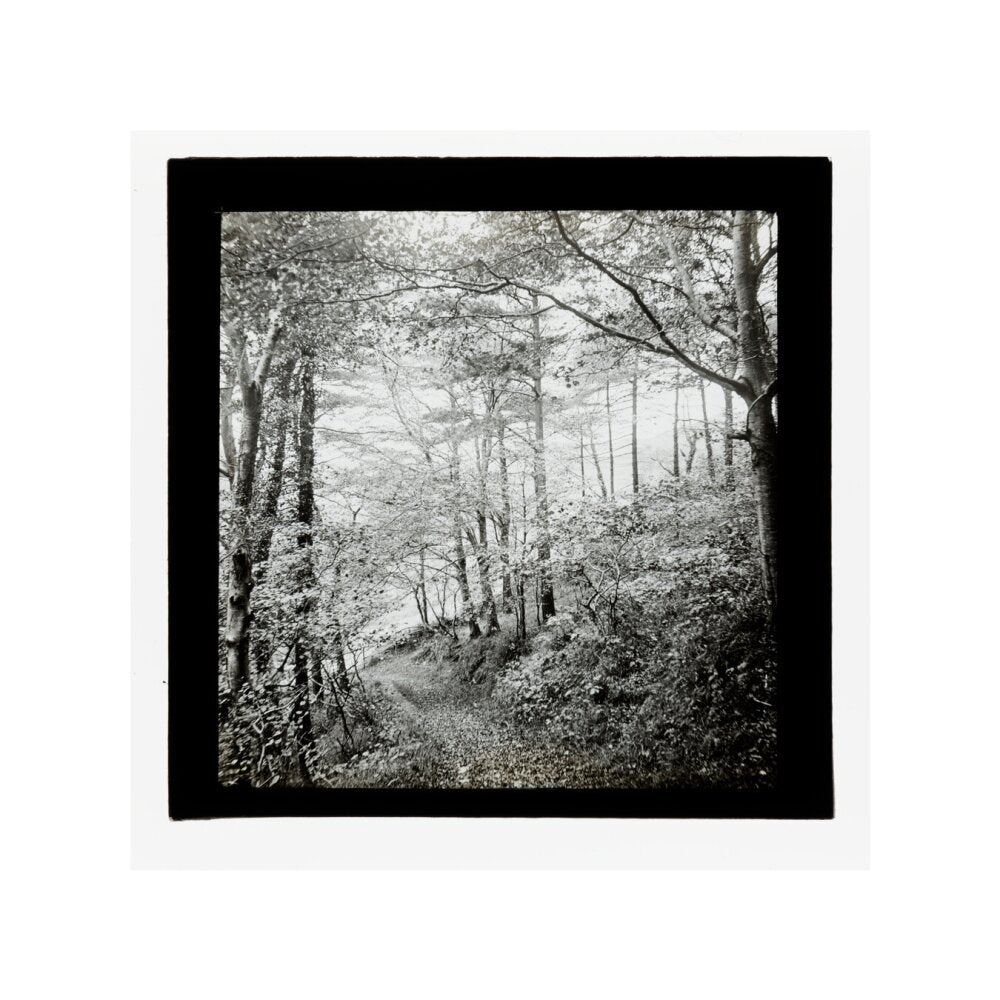 A magic lantern slide of Score Wood, Ilfracombe by Birt Acres, c. 1893. unstretched canvas small none Art Print - Science Museum Shop