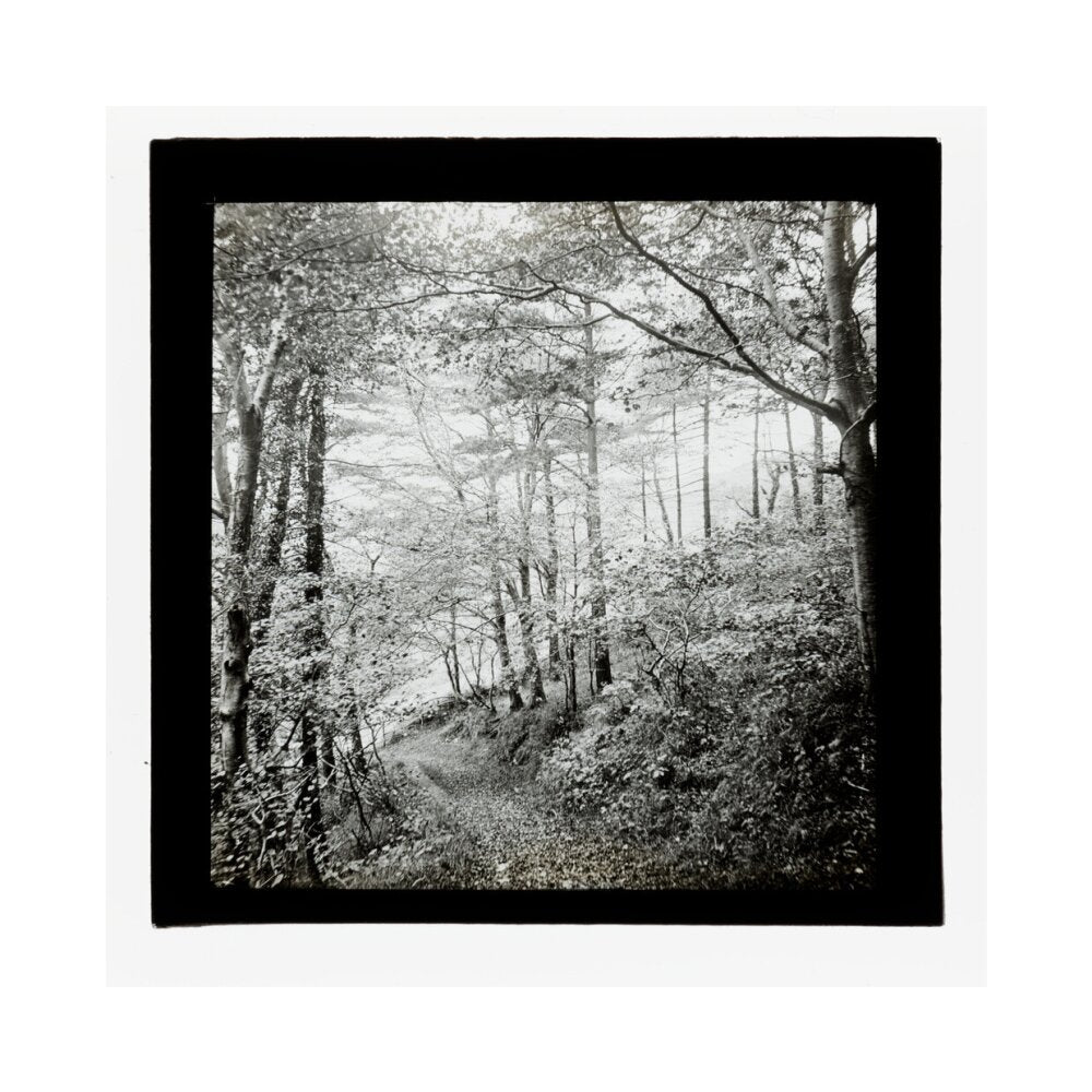 A magic lantern slide of Score Wood, Ilfracombe by Birt Acres, c. 1893. unstretched canvas medium none Art Print - Science Museum Shop