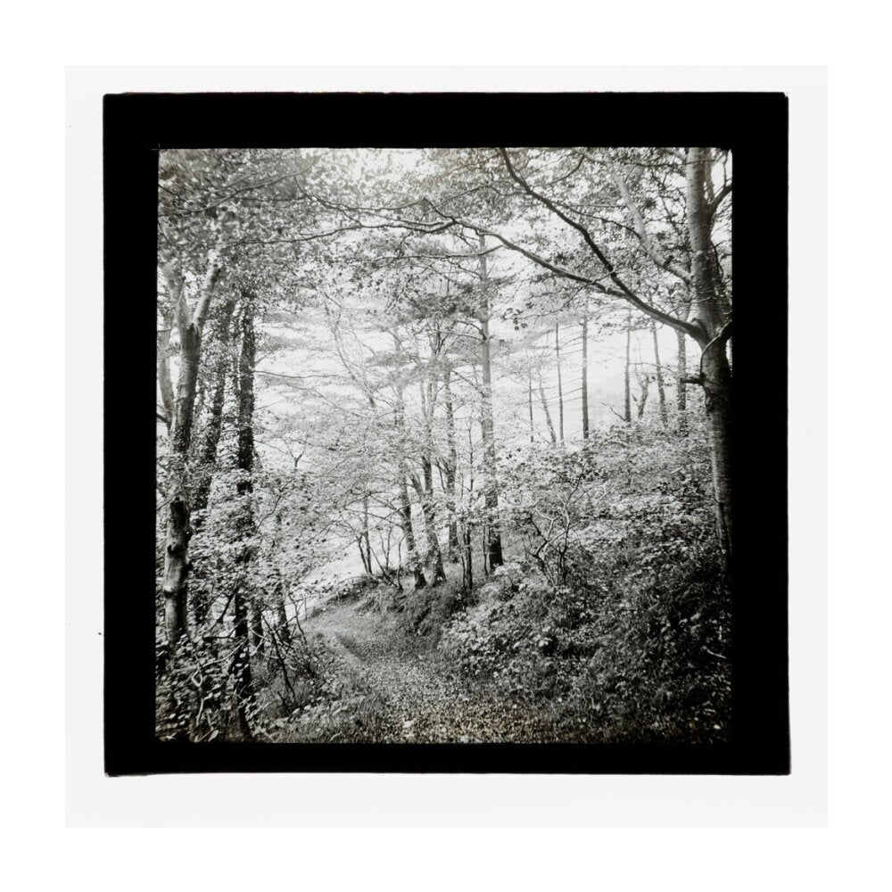A magic lantern slide of Score Wood, Ilfracombe by Birt Acres, c. 1893. unstretched canvas large none Art Print - Science Museum Shop