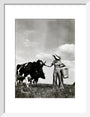 A milkmaid and cows art print small white Art Print - Science Museum Shop