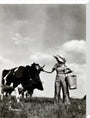 A milkmaid and cows stretched canvas large none Art Print - Science Museum Shop