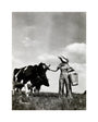A milkmaid and cows unstretched canvas medium none Art Print - Science Museum Shop