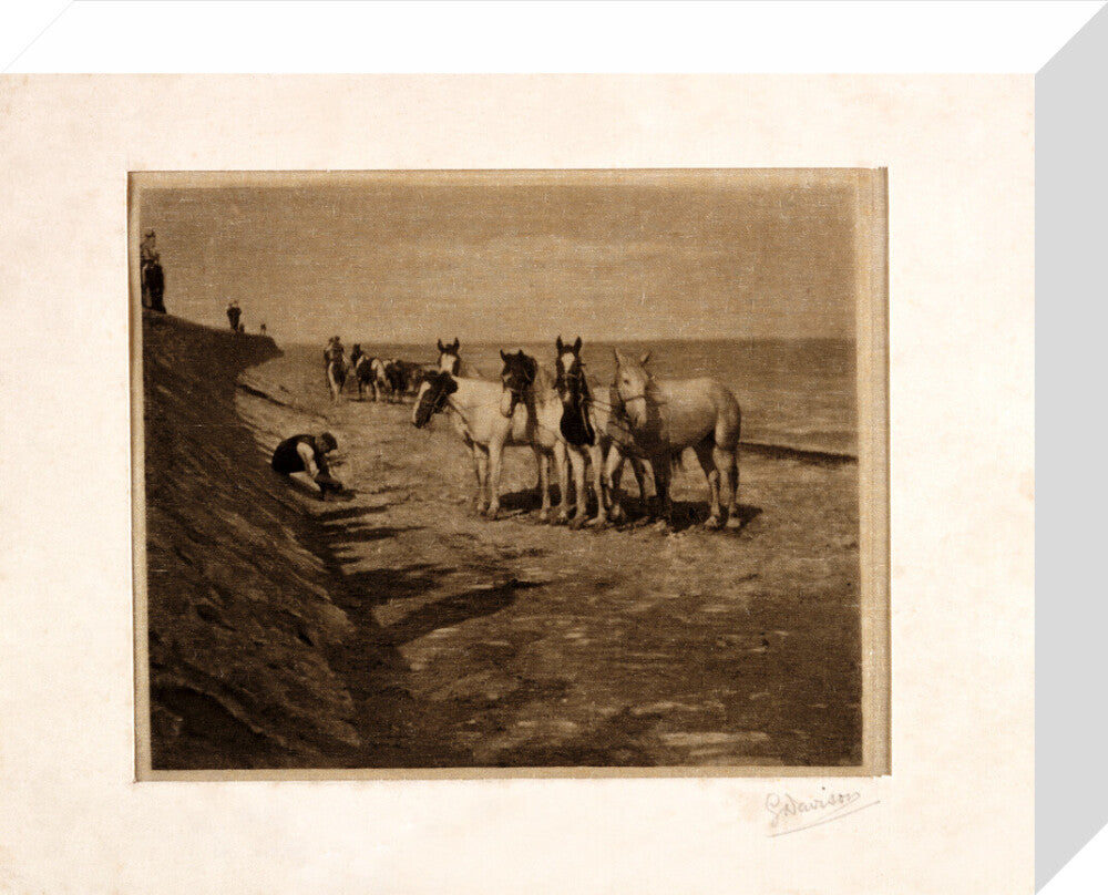 'Ring Horses', 1898. stretched canvas small none Art Print - Science Museum Shop