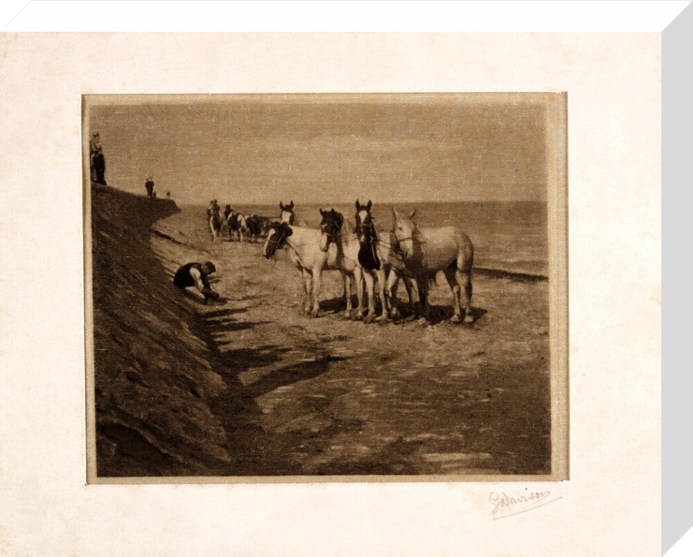 'Ring Horses', 1898. stretched canvas medium none Art Print - Science Museum Shop