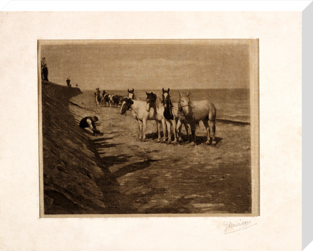 'Ring Horses', 1898. stretched canvas large none Art Print - Science Museum Shop